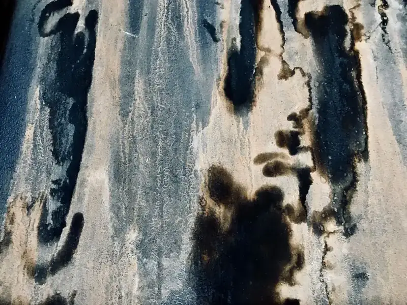 Black mould growth spreading across a damp surface in an unventilated space