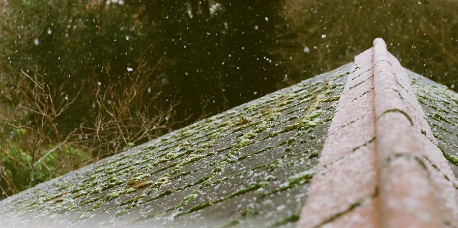 Moss growing across an old tiled roof slope under falling snow, the kind of general wear and tear a roofing guarantee will not pay to put right
