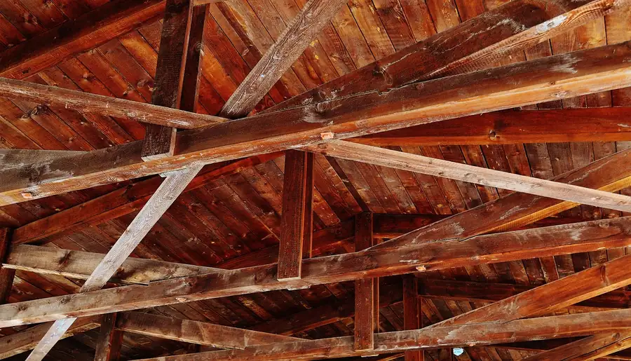 Underside of a pitched roof showing exposed timber rafters, purlins and boarding