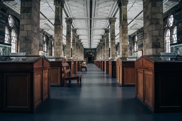 Long museum gallery lined with wooden display cases under a glazed roof