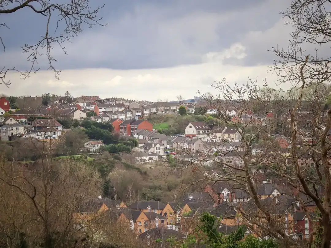 Hillside of brick houses and pitched rooftops seen through bare winter trees under a cloudy sky