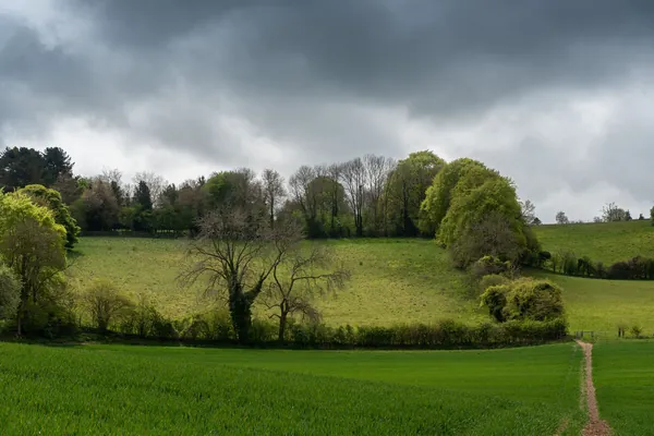 A footpath running across green farmland towards trees under a heavy grey sky, like the fields walked to see the Druid Stone near Blidworth