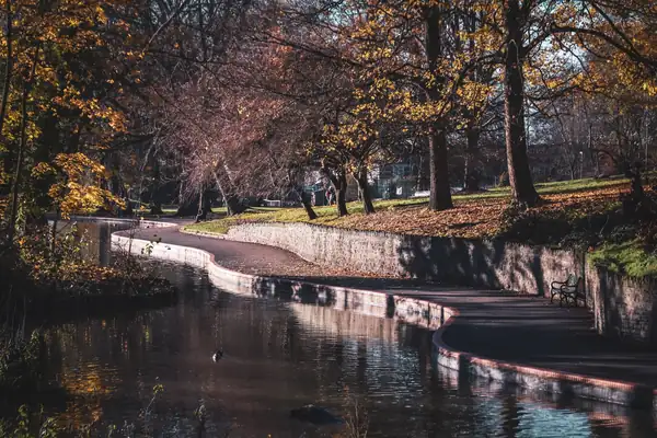 A curving path beside a pond under autumn trees in an English park, similar to the ponds and woodland at Portland Park in Kirkby-in-Ashfield