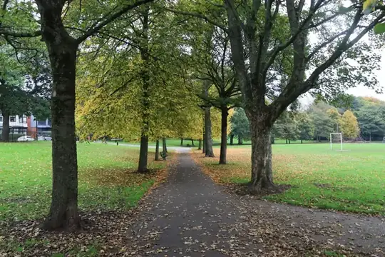 Tarmac path through a tree-lined park in autumn with fallen leaves and open playing fields