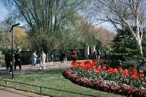 Public park in spring with red tulip beds, paths and people walking under mature trees