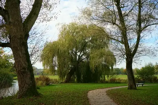 Footpath curving past a weeping willow and a bench beside the water, a riverside park scene like the Carrs at Warsop