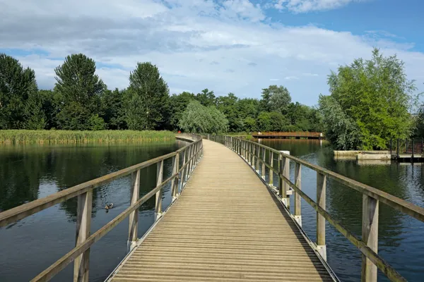 Wooden boardwalk crossing a lake with reeds and trees on a bright day
