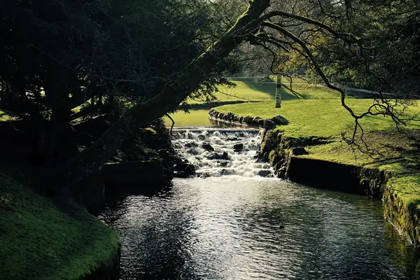 Shaded river running over a small weir between mossy banks and woodland