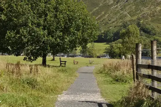 Gravel path running between rough grassland towards a large tree and benches in a country park