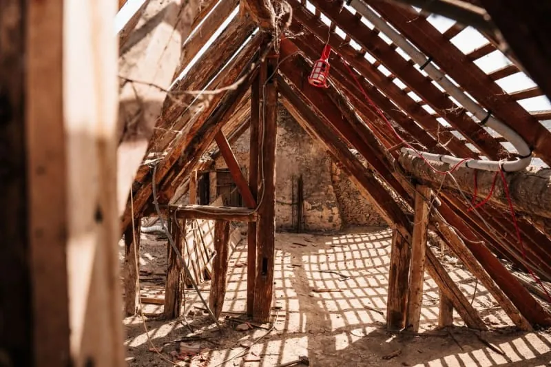 Inspecting roof timbers from inside the loft of a Mansfield house